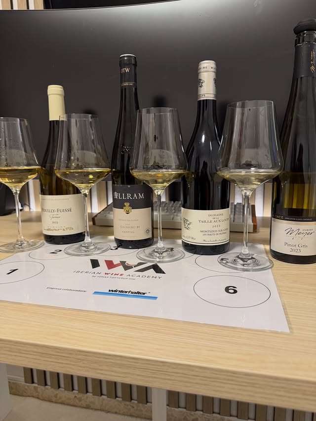 Cata temática de vinos con maridaje